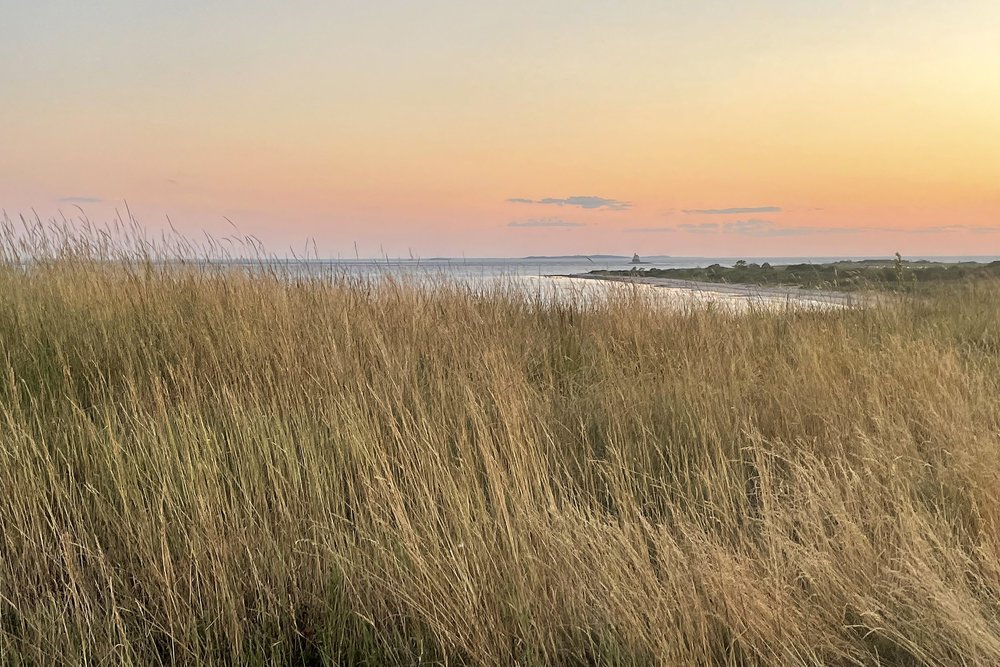 hayharborgrasssunsetcopy.jpg