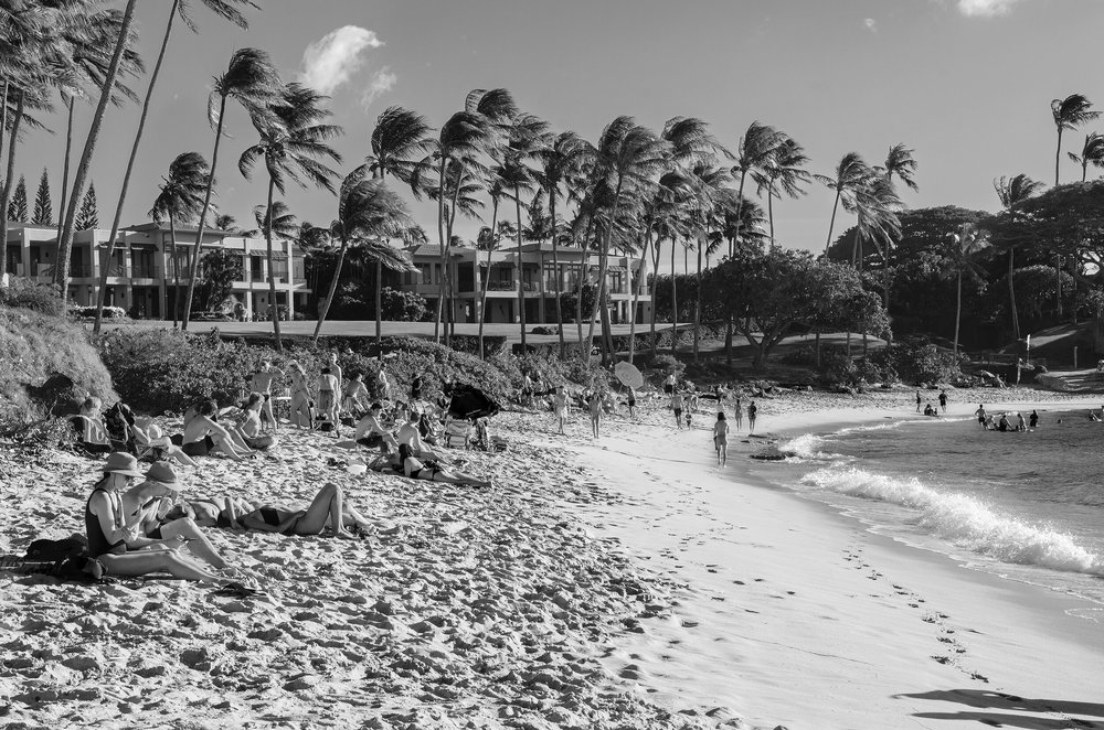 beachlandscape.jpg