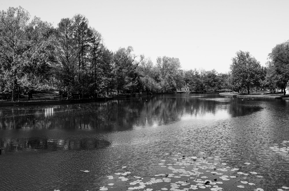 turtlecreeklandscape (1) copy.jpg
